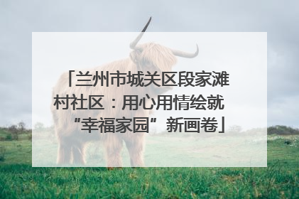 兰州市城关区段家滩村社区：用心用情绘就“幸福家园”新画卷