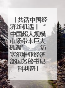 共话中国经济新机遇丨“中国超大规模市场带来巨大机遇”——访塞尔维亚经济部国务秘书尼科利奇