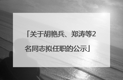 关于胡艳兵、郑涛等2名同志拟任职的公示
