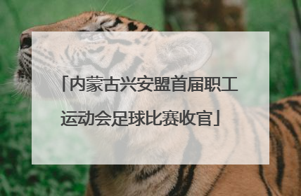 内蒙古兴安盟首届职工运动会足球比赛收官