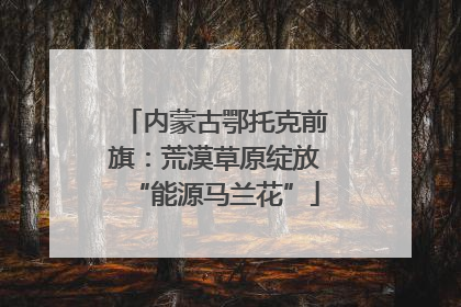 内蒙古鄂托克前旗：荒漠草原绽放“能源马兰花”