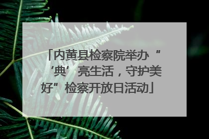 内黄县检察院举办“‘典’亮生活，守护美好”检察开放日活动