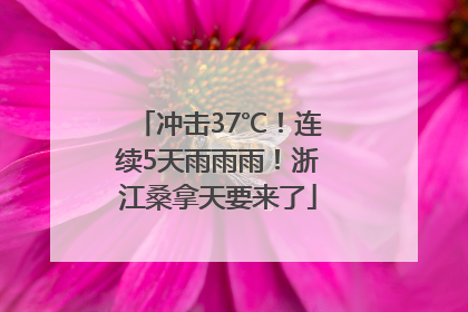 冲击37℃！连续5天雨雨雨！浙江桑拿天要来了