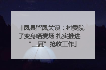 凤县留凤关镇：村委院子变身晒麦场 扎实推进“三夏”抢收工作