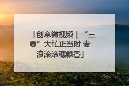 创意微视频｜“三夏”大忙正当时 麦浪滚滚穗飘香