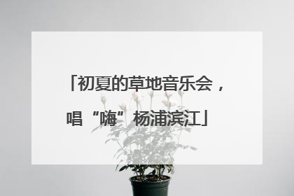 初夏的草地音乐会，唱“嗨”杨浦滨江