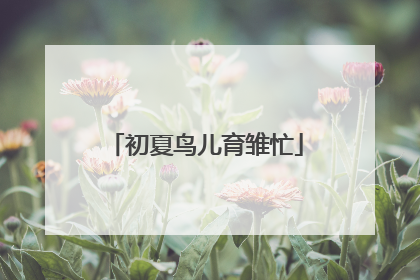 初夏鸟儿育雏忙