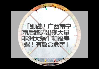 别碰！广西南宁雨后路边出现大量非洲大蜗牛和福寿螺！有致命危害
