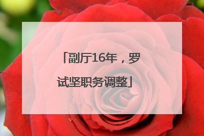 副厅16年，罗试坚职务调整