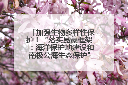 加强生物多样性保护！“落实昆蒙框架：海洋保护地建设和南极公海生态保护”主题论坛将举办