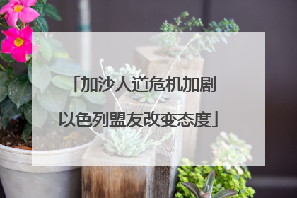 加沙人道危机加剧 以色列盟友改变态度