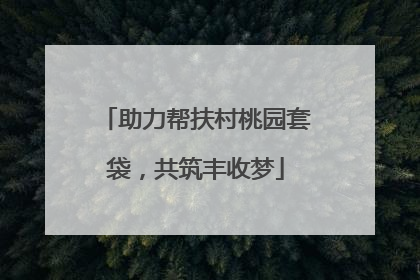 助力帮扶村桃园套袋，共筑丰收梦