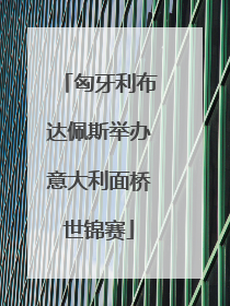 匈牙利布达佩斯举办意大利面桥世锦赛