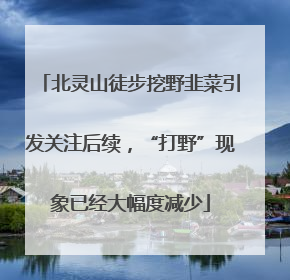 北灵山徒步挖野韭菜引发关注后续，“打野”现象已经大幅度减少