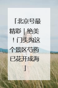 北京号最精彩｜绝美！门头沟这个景区芍药已花开成海