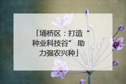 埇桥区：打造“种业科技谷” 助力强农兴种