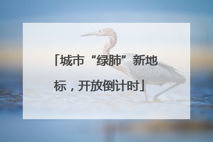 城市“绿肺”新地标，开放倒计时