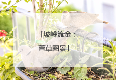 坡岭流金：萱草图景
