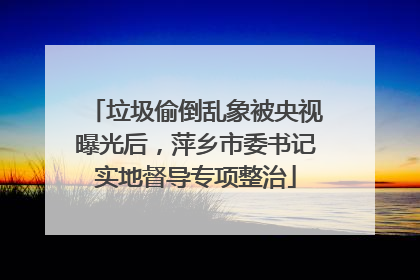 垃圾偷倒乱象被央视曝光后，萍乡市委书记实地督导专项整治