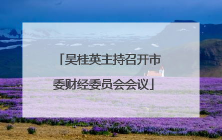 吴桂英主持召开市委财经委员会会议