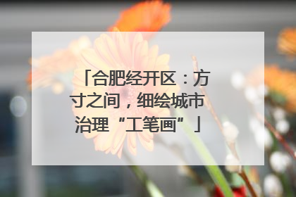 合肥经开区：方寸之间，细绘城市治理“工笔画”