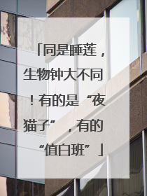 同是睡莲，生物钟大不同！有的是“夜猫子”，有的“值白班”