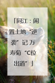 同江：闲置土地“逆袭”记 万寿菊“C位出道”