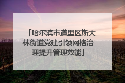 哈尔滨市道里区斯大林街道党建引领网格治理提升管理效能