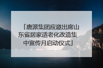 唐派集团应邀出席山东省居家适老化改造集中宣传月启动仪式