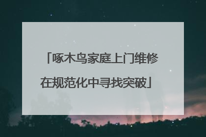 啄木鸟家庭上门维修在规范化中寻找突破