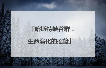 喀斯特峡谷群：生命演化的摇篮