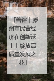 善评｜滕州市民营经济在创新沃土上绽放高质量发展之花