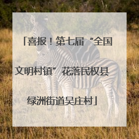 喜报！第七届“全国文明村镇”花落民权县绿洲街道吴庄村