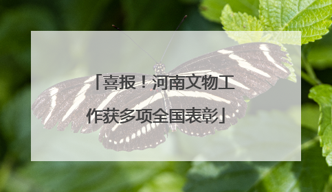 喜报！河南文物工作获多项全国表彰