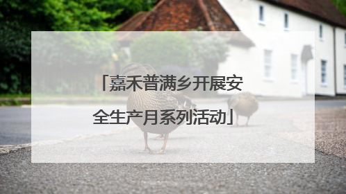 嘉禾普满乡开展安全生产月系列活动