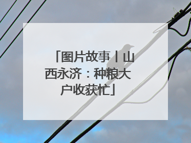 图片故事丨山西永济：种粮大户收获忙