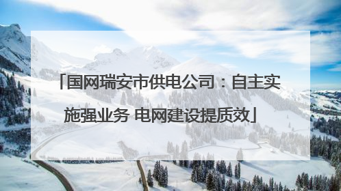 国网瑞安市供电公司：自主实施强业务 电网建设提质效