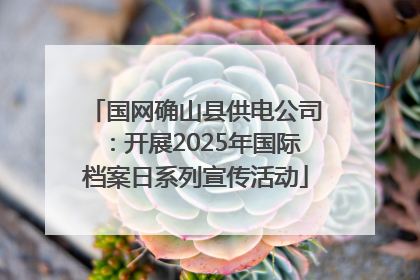 国网确山县供电公司：开展2025年国际档案日系列宣传活动