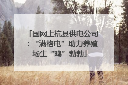 国网上杭县供电公司：“满格电”助力养殖场生“鸡”勃勃