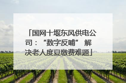 国网十堰东风供电公司：“数字反哺” 解决老人度夏缴费难题
