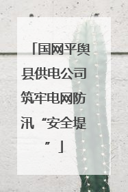 国网平舆县供电公司筑牢电网防汛“安全堤”