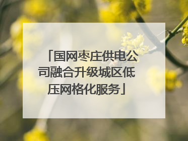 国网枣庄供电公司融合升级城区低压网格化服务