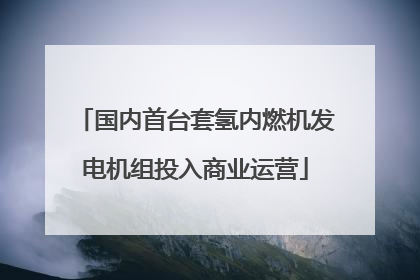 国内首台套氢内燃机发电机组投入商业运营
