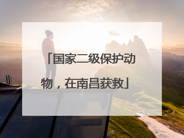 国家二级保护动物，在南昌获救