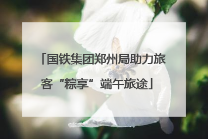 国铁集团郑州局助力旅客“粽享”端午旅途