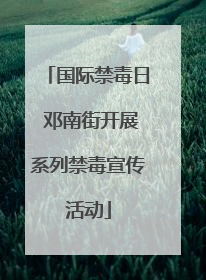 国际禁毒日 邓南街开展系列禁毒宣传活动