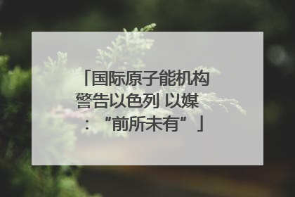 国际原子能机构警告以色列 以媒：“前所未有”