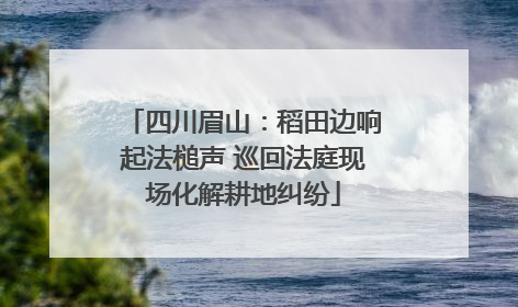 四川眉山：稻田边响起法槌声 巡回法庭现场化解耕地纠纷