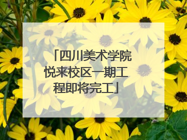 四川美术学院悦来校区一期工程即将完工
