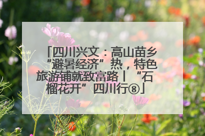 四川兴文：高山苗乡“避暑经济”热，特色旅游铺就致富路丨“石榴花开”四川行⑧